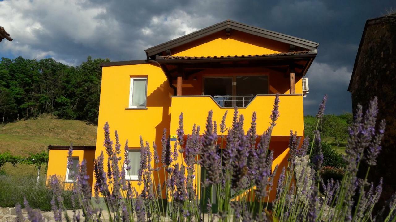 Pocitniska Hisa Guest House Dobravlje Exterior photo